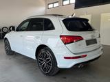Audi Q5 2.0 TDI quattro S line Bi-Xenon/StandHZ/Pano - Audi: Standheizung