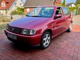Volkswagen Polo XXL - Volkswagen Polo: Xxl