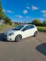 Fiat Punto - Fiat Punto in Frankfurt (Main)