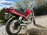 Suzuki VX800 - ehrlicher Klassiker mit Charakter - MOTORRAD KLASSIKER