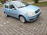 Fiat Punto 1.2 - Fiat Punto Gebrauchtwagen in Köln