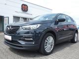 Opel Grandland X Edition Automatik *NAVI*ALU*PDC* - Opel Grandland (X) in Mainz