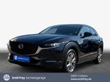 Mazda CX-30  G 140 Aut. EXCLUSIVE-LINE Bose RFC HuD - Mazda CX-30 Exclusive-Line mit Benzin-Antrieb
