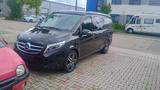 Mercedes-Benz V 250 d Marko Polo 1. Hand Absolut gepflegt 