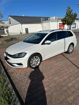 Volkswagen Golf 1.4 TSI 92kW DSG Highline Variant Highline - Volkswagen Golf: 92