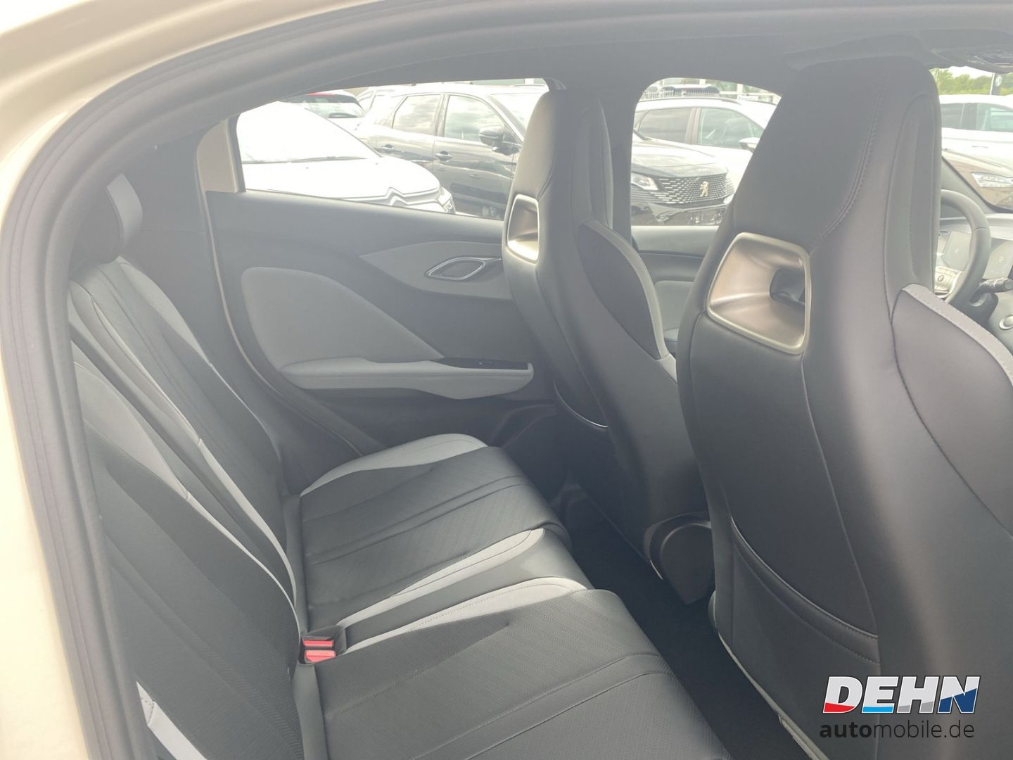 BYD DOLPHIN SURF