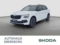 Skoda Kamiq - Vorschau Bild 1