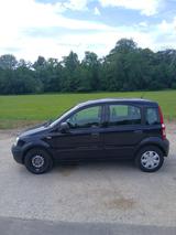 Fiat FIAT PANDA 1,2L TÜV NEU 06/2028 - Fiat Panda in Freiburg
