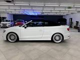 Audi S3 Cabriolet 2.0 TFSI quattro /B&O - Audi S3 in Mannheim
