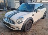 MINI Cooper - Pepper White - MINI MINI: Pepper White