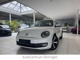Volkswagen New Beetle Lim. Design Navi Leder Xenon Pano PDC - VW New Beetle Gebrauchtwagen