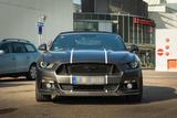 Ford Mustang 5.0 V8 - Ford Mustang Gebrauchtwagen in Stuttgart