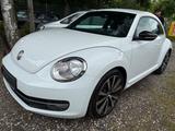 Volkswagen Beetle Lim. Sport - VW Beetle Gebrauchtwagen in Berlin