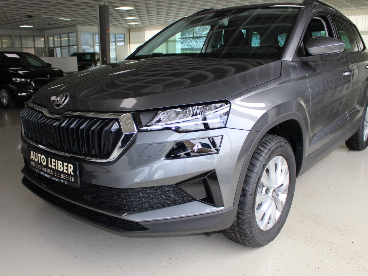 Fahrzeugabbildung SKODA Karoq 1.5 TSI ACT Selection