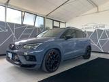 Cupra Ateca CUPRA Ateca 2.0 tsi Limited Edition  - Cupra Ateca: Limited Edition