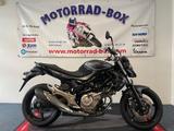 Suzuki Gladius SFV 650 A Erst 4800 KM Gewährleistung - Offers matching your search criteria