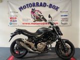 Suzuki Gladius SFV 650 A Erst 4800 KM Gewährleistung - SUZUKI 650 GLADIUS