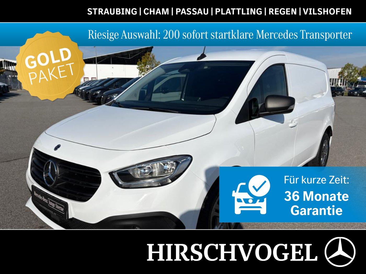 Mercedes-Benz Citan 110 CDI Kasten XL Hecktüren AHK