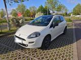Fiat Punto 199 | Sport-Edition - Fiat Punto 199 mit Benzin-Antrieb