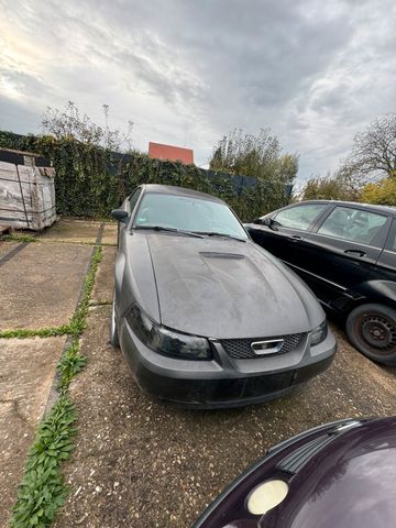 Ford Mustang IV SN95 3.8 V6