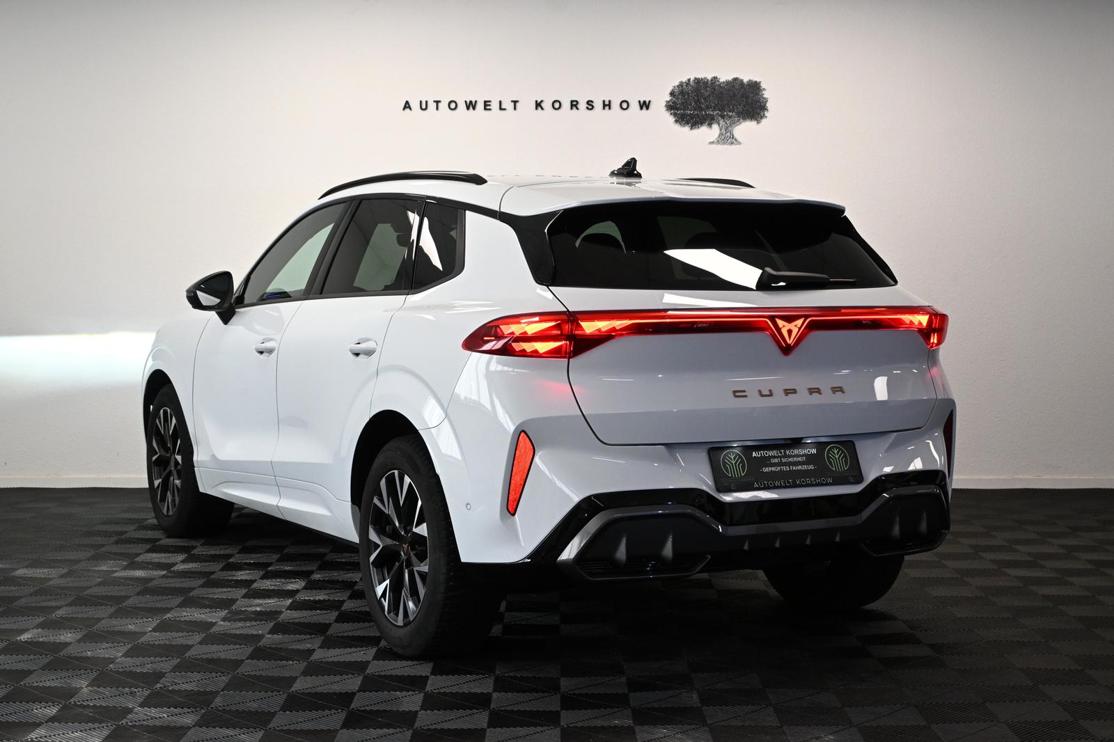 Cupra Terramarr *KEYLESS*MEMORY*LED*HEAD-UP*360°KAMERA