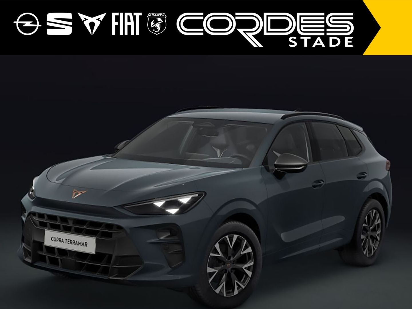 Cupra Terramar - Bild 2