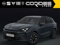 Cupra Terramar - Vorschau Bild 2