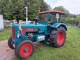Hanomag Robust 800 S - Hanomag Raupe/Dozer