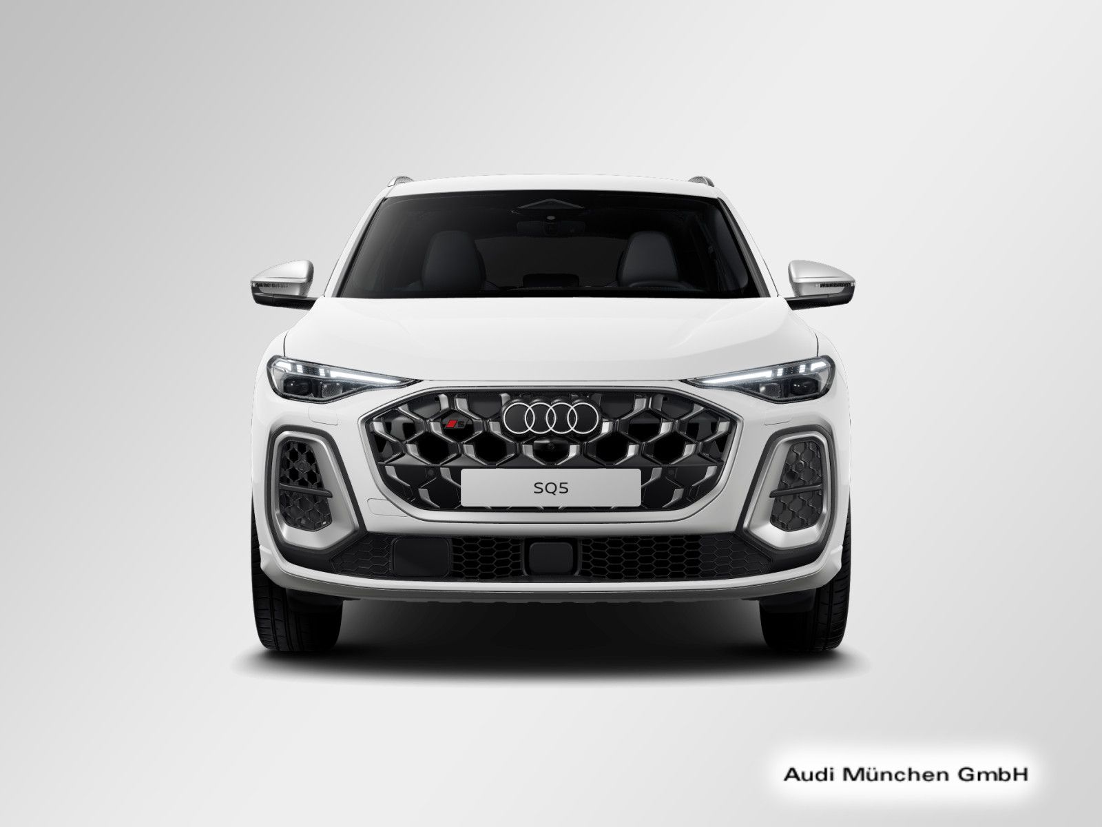 Audi SQ5 - Bild 4