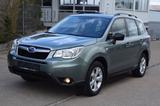 Subaru Forester 4x4 Active Kamera AHK - Subaru Forester: Grün