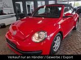 Volkswagen Beetle Cabrio - Volkswagen Beetle: Rot
