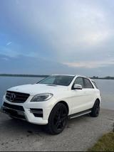 Mercedes-Benz Mercedes Benz Ml 350 Blue TEC 4 MATIC - Mercedes-Benz ML 350 in Augsburg