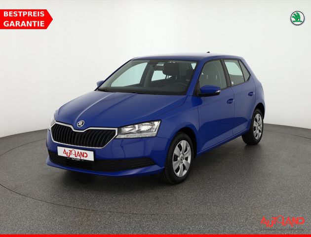 Skoda Fabia 1.0 MPI Cool Plus Klima Sitzheizung DAB