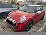 MINI COOPER Mini 3-trg. Cooper NAVI/SITZH/H&K/CHILI - MINI MINI: Rot