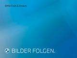 BMW X1 sDrive18d Parkassistenzsystem Navi DAB