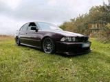 BMW e39 540i Mora rot Tausch VW Audi Seat ... - BMW 540 aus 1997: 540i