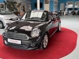 MINI COOPER Cabrio Highgate LEDER SHZ PDC TEMP - MINI MINI: Braun