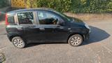 Fiat New Panda 1.2 8V EASY EASY - schwarze Fiat New Panda