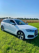 Audi Q7 3.0 TDI quattro tiptronic - - Audi Q7 in München