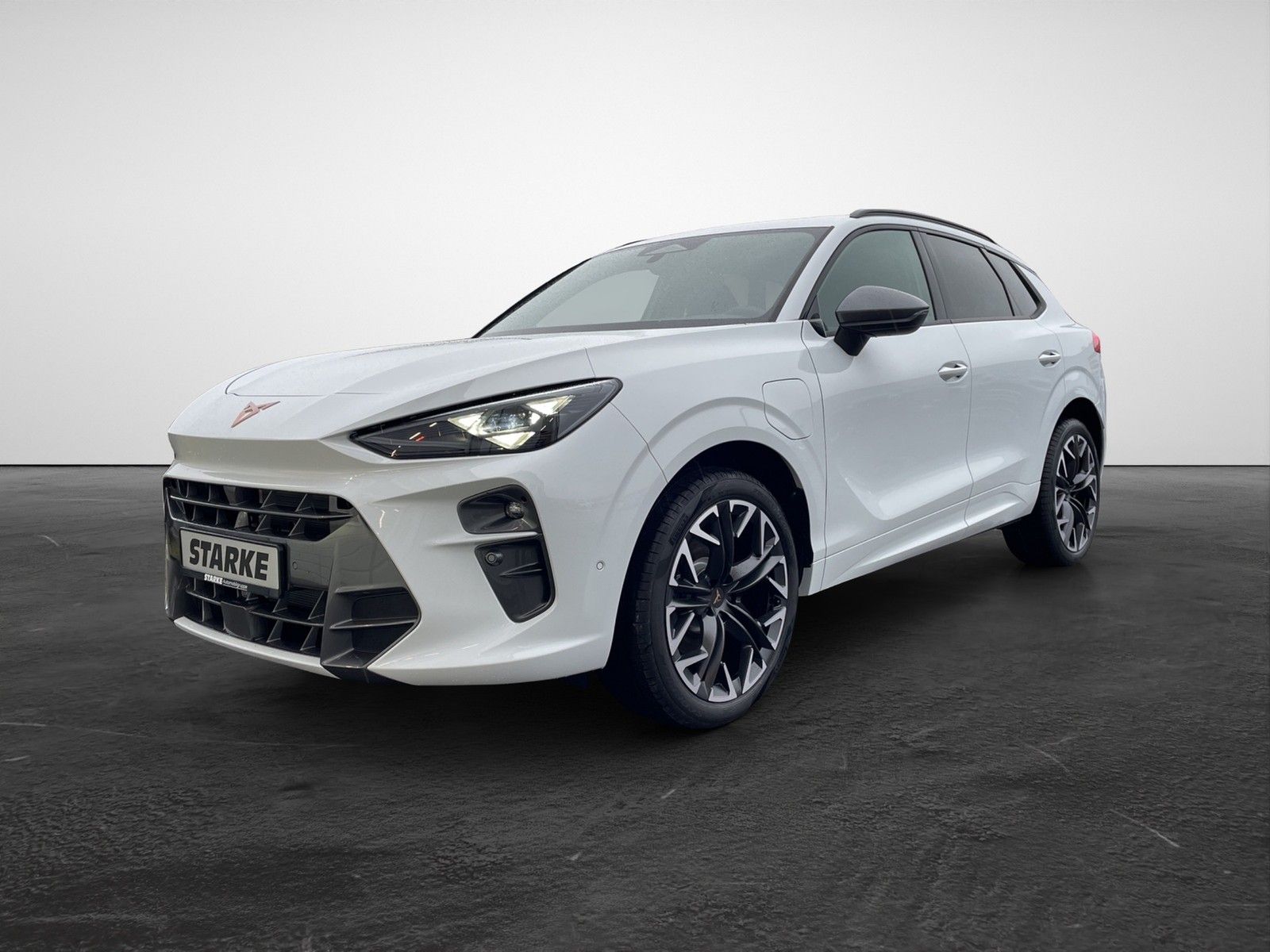 Cupra Terramar VZ 1.5 e-Hybrid DSG  HeadUp Panodach AH imagem 2