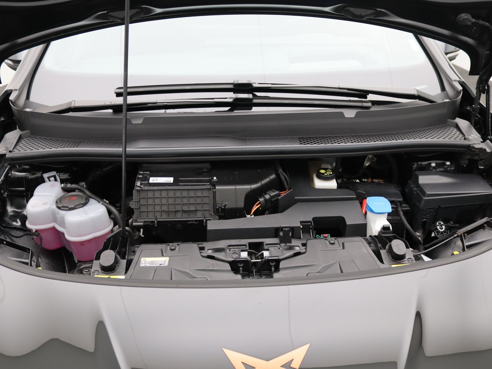 Cupra Born - Bild 18