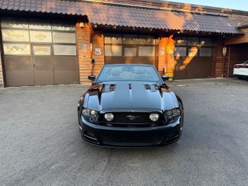 Ford Mustang - 8
