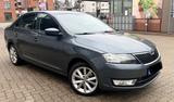Skoda Rapid 1.6 TDI Active Active - Skoda Rapid mit Diesel-Antrieb: Active