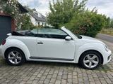Volkswagen Beetle CABRIO 1.2TSI BMT Design,TOP-AUTO WIE NEU