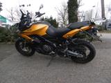 Aprilia Caponord 1200 Rally  - APRILIA CAPONORD 1200