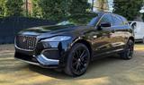 Jaguar F-Pace 2.0d i4 mhev R-Dynamic awd 204cv a - Hybrid (Diesel/Elektro): Violett