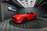 Ford Mustang Shelby GT 500 5.0 V8 Performance 20 Zoll - Ford Mustang: Coupe, Shelby Gt500