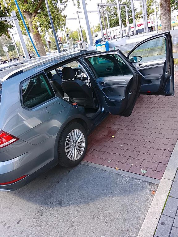 Image of Volkswagen Golf