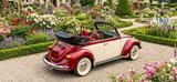 Volkswagen Käfer Cabrio 1,6 * TOP RESTAURIERT * Neuer Motor - Volkswagen Käfer: Motor