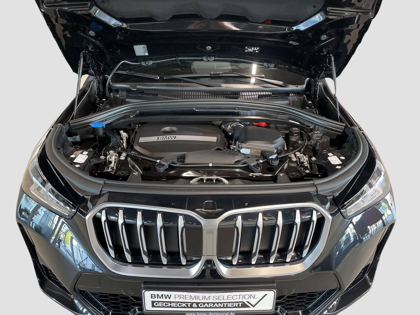 BMW X1 xDrive30e M Sport AHK Driv.Assist.Prof LED foto 16